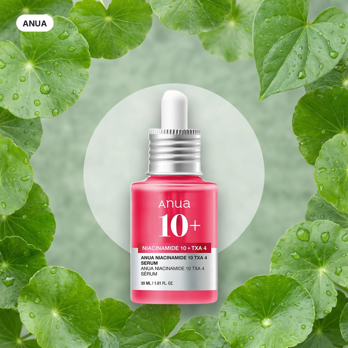 Anua Niacinamide 10 TXA 4 Serum – balení